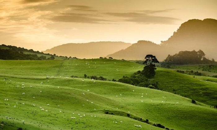 Move to New Zealand? US migration inquiries rise 24-fold after election day